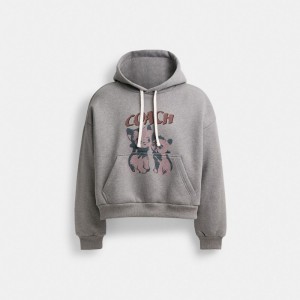 Női COACH® The Lil Nas X Drop Cats Cropped Pullover Kapucnis Pulóver Szürke | HUPJI421